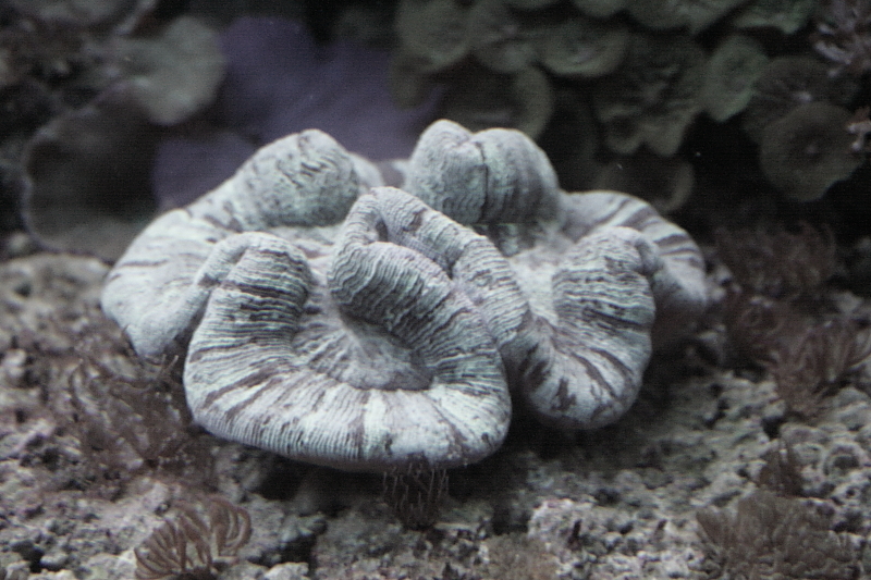 Killikus&reg; Fotographie